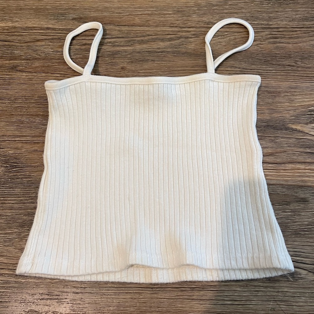 Brandy Melville Crop Top